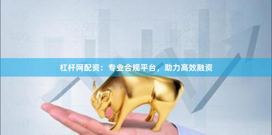 杠杆网配资：专业合规平台，助力高效融资