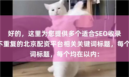 好的，这里为您提供多个适合SEO收录、且标题不重复的北京配资平台相关关键词标题，每个均在以内：